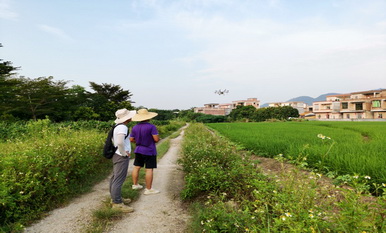 2020年陽(yáng)江市植保植檢和種子土肥環(huán)保管理站耕地安全利用試驗(yàn)示范項(xiàng)目