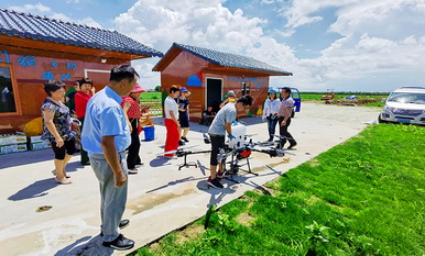 2020年佛山市南海區(qū)農(nóng)業(yè)農(nóng)村局農(nóng)用地分類管理項(xiàng)目