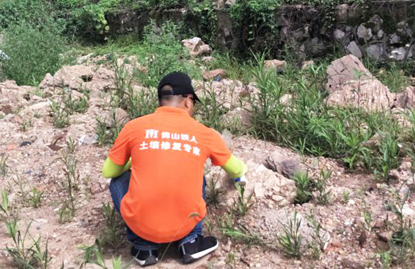 清水塘生態(tài)新城臨江路(清湖路-清雨路)場(chǎng)地環(huán)境調(diào)查報(bào)告